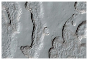 Monitoring of South Polar Residual Cap Albedo Features