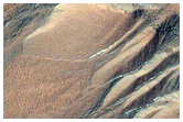 Gully Monitoring