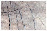 Patterned Ground on Channel Floor