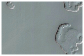 Monitoring of South Polar Residual Cap Albedo Features