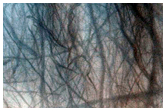 Dunes in Von Karman Crater
