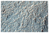 Shallow Fresh Valley Adjacent to Crater Rim in Northwest Hellas Region