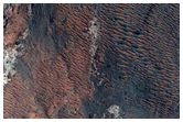 Light-Toned Materials Exposed within Holden Crater Secondary Crater