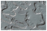 Monitoring of South Polar Residual Cap Albedo Features