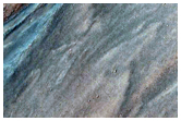 Large Gully in Northern Argyre Planitia