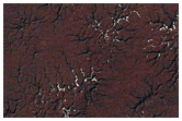 Spider Terrain