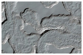 Monitoring of South Polar Residual Cap Albedo Features