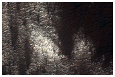 Region Dubbed Manhattan Classic Spider Terrain