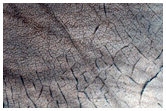 Patterned Ground on Channel Floor