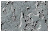 Monitoring of South Polar Residual Cap Albedo Features