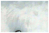 Seasonal Monitoring of Features in CTX Image 