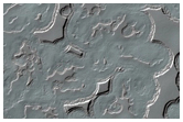 Monitoring of South Polar Residual Cap Albedo Features