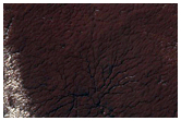 Region Dubbed Manhattan Classic Spider Terrain
