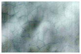 Monitoring of South Polar Residual Cap Albedo Features