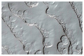 Monitoring of South Polar Residual Cap Albedo Features