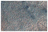 Permafrost Survey