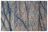 Permafrost Survey