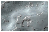 Monitoring of South Polar Residual Cap Albedo Features