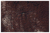 Region Dubbed Manhattan Classic Spider Terrain