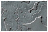 Monitoring of South Polar Residual Cap Albedo Features