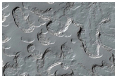 Monitoring of South Polar Residual Cap Albedo Features