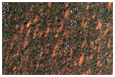 Putative Esker in Chasma Australe