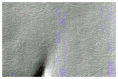 Monitoring of South Polar Residual Cap Albedo Features