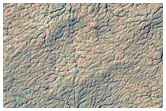 Region Dubbed Manhattan Classic Spider Terrain