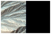 Gully Monitoring