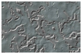 South Pole Residual Cap Interannual Change Monitoring
