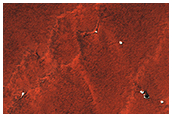 Anomalous Bright Material in Polar Pits