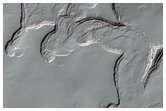 Monitoring of South Polar Residual Cap Albedo Features