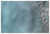 Monitoring of South Polar Residual Cap Albedo Features