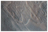 Gullies in Craters in Terra Cimmeria