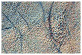 Permafrost Survey