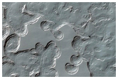 Monitoring of South Polar Residual Cap Albedo Features
