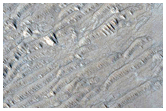 Young Impact Site Formed between January 2006 and December 2008