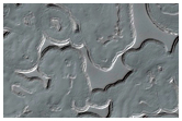 Monitoring of South Polar Residual Cap Albedo Features