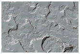 Monitoring of South Polar Residual Cap Albedo Features