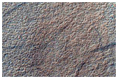 Permafrost Survey