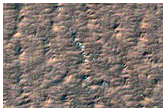 Polar Araneiform Trough Network