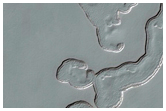 Monitoring of South Polar Residual Cap Albedo Features