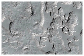 Monitoring of South Polar Residual Cap Albedo Features