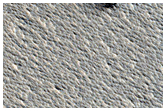 Candidate New Impact Site Formed between February 2007 and December 2012