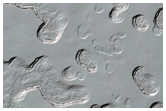 Monitoring of South Polar Residual Cap