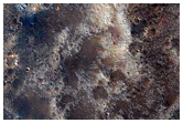 Cana possibilia flabella in imo latere crateris sita