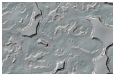 Monitoring of South Polar Residual Cap Albedo Features