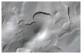Monitoring of South Polar Residual Cap Albedo Features