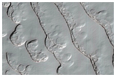 Monitoring of South Polar Residual Cap Albedo Features