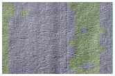 Monitoring of South Polar Residual Cap Albedo Features